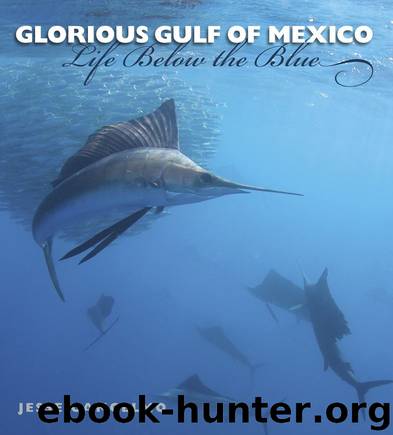 Glorious Gulf of Mexico: Life Below the Blue (Gulf Coast Books, sponsored by Texas A&M University-Corpus Christi)