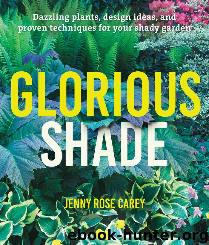 Glorious Shade by Jenny Rose Carey