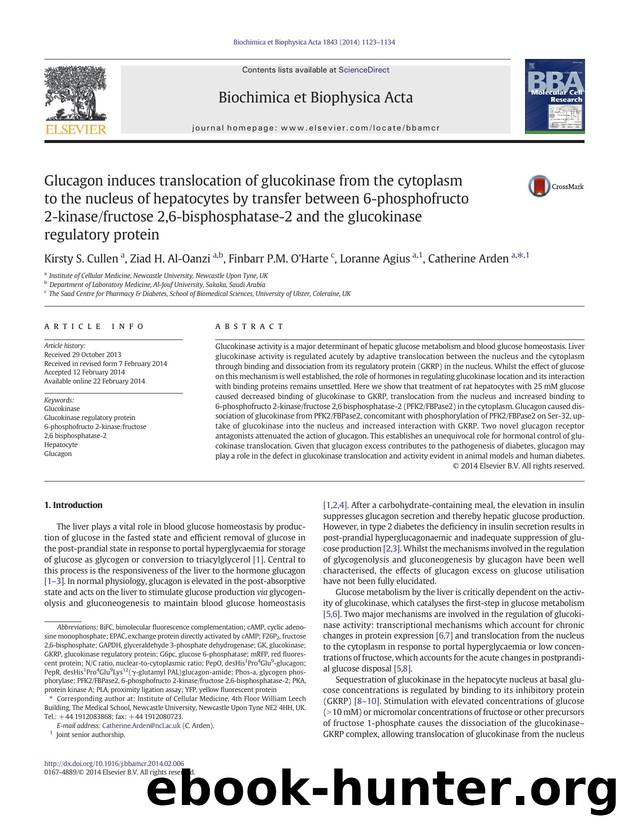 Glucagon induces translocation of glucokinase from the cytoplasm to the nucleus of hepatocytes by transfer between 6-phosphofructo 2-kinasefructose 2,6-bisphosphatase-2 and the glu by Kirsty S. Cullen & Ziad H. Al-Oanzi & Finbarr P.M. O'Harte & Loranne Agius & Catherine Arden