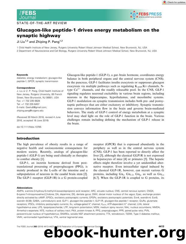 Glucagonâlike peptideâ1 drives energy metabolism on the synaptic highway by Unknown