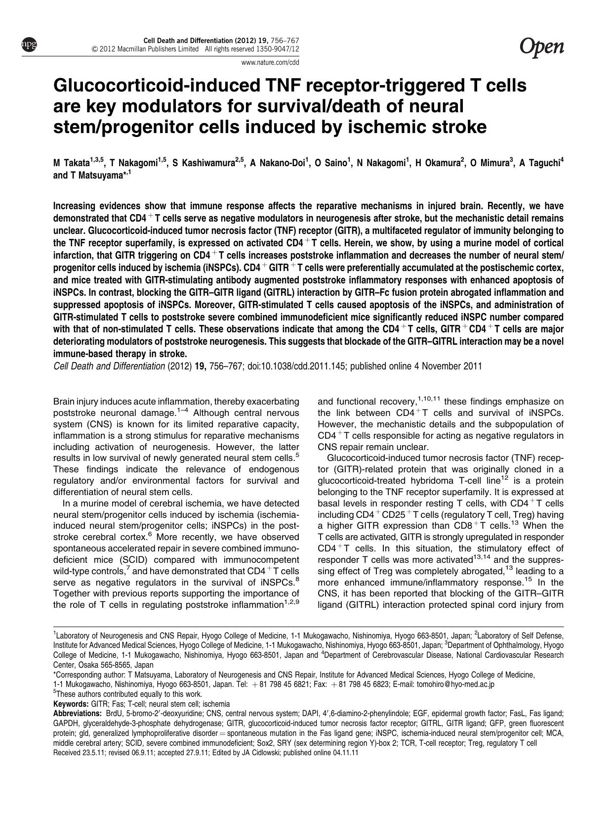 Glucocorticoid-induced TNF receptor-triggered T cells are key modulators for survival&sol;death of neural stem&sol;progenitor cells induced by ischemic stroke by unknow