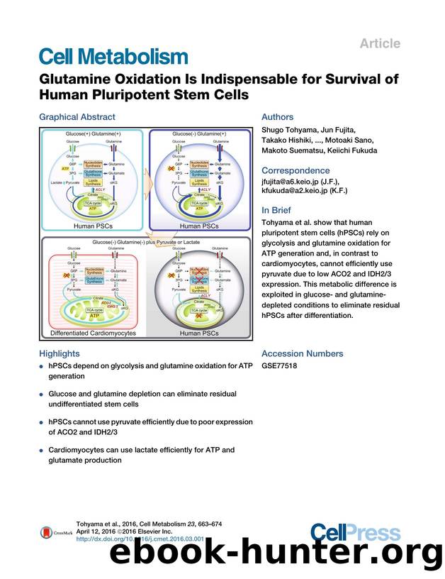 Glutamine Oxidation Is Indispensable for Survival of Human Pluripotent Stem Cells by unknow