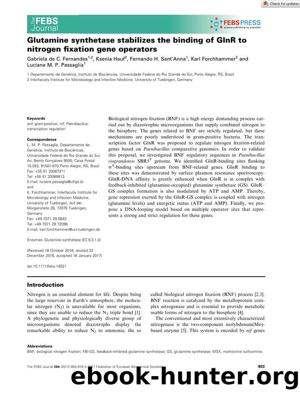 Glutamine synthetase stabilizes the binding of GlnR to nitrogen fixation gene operators by Unknown