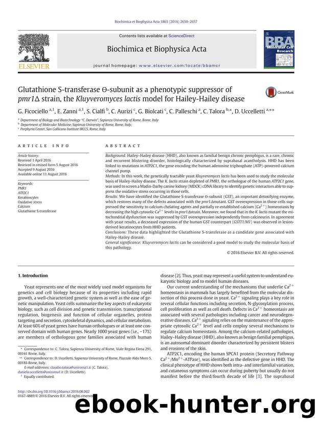 Glutathione S-transferase Ï´-subunit as a phenotypic suppressor of pmr1Î strain, the Kluyveromyces lactis model for Hailey-Hailey disease by unknow