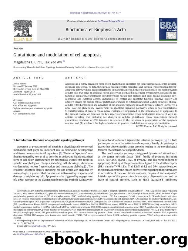 Glutathione and modulation of cell apoptosis by Magdalena L. Circu & Tak Yee Aw