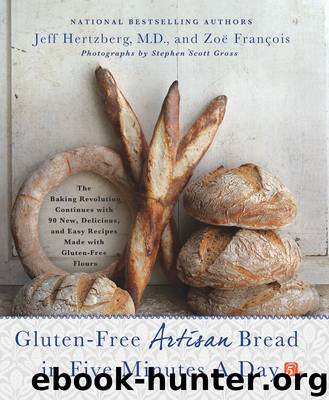 Gluten-Free Artisan Bread in Five Minutes a Day by Jeff Hertzberg M.D
