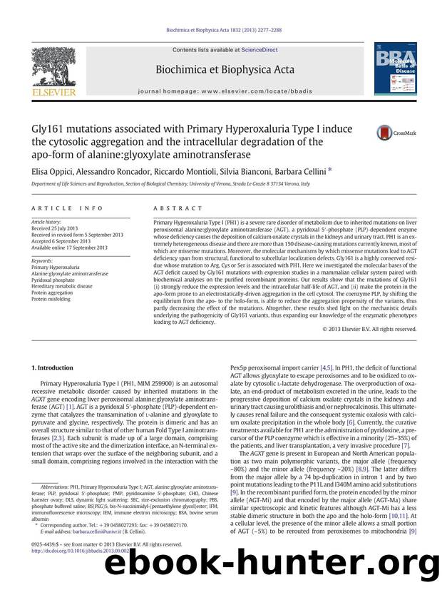 Gly161 mutations associated with Primary Hyperoxaluria Type I induce the cytosolic aggregation and the intracellular degradation of the apo-form of alanine:glyoxylate aminotransferase by Elisa Oppici & Alessandro Roncador & Riccardo Montioli & Silvia Bianconi & Barbara Cellini