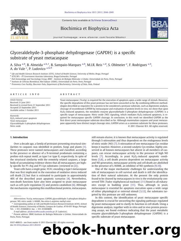 Glyceraldehyde-3-phosphate dehydrogenase (GAPDH) is a specific substrate of yeast metacaspase by unknow