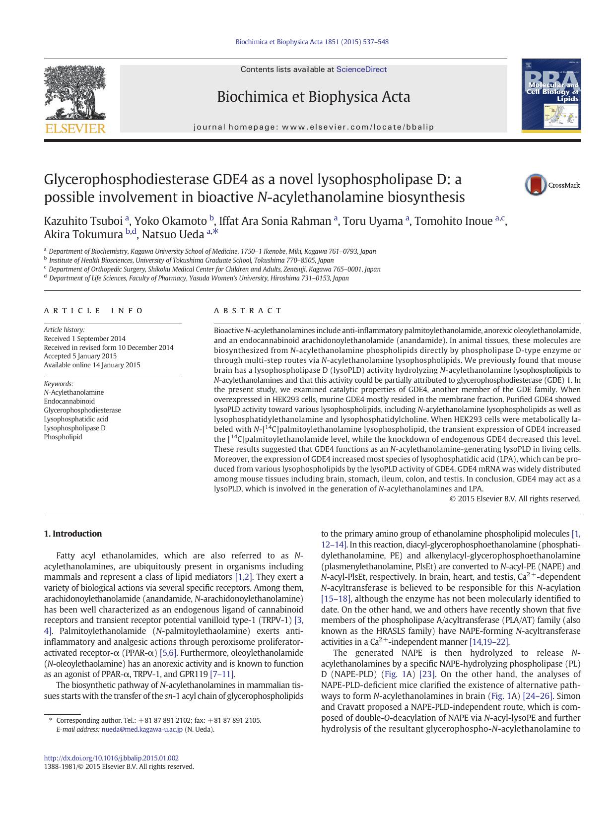 Glycerophosphodiesterase GDE4 as a novel lysophospholipase D: a possible involvement in bioactive N-acylethanolamine biosynthesis by unknow