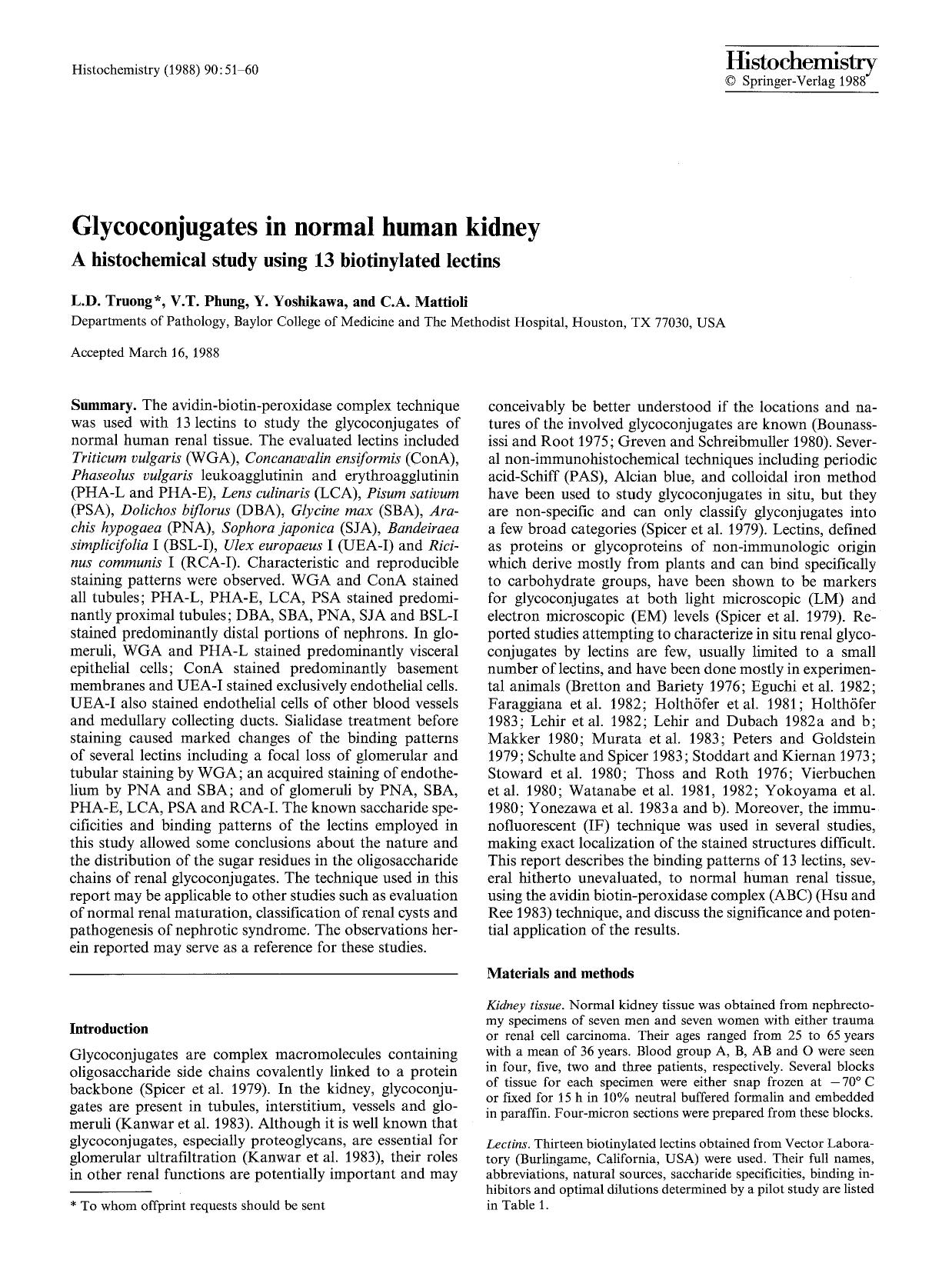 Glycoconjugates in normal human kidney by Unknown