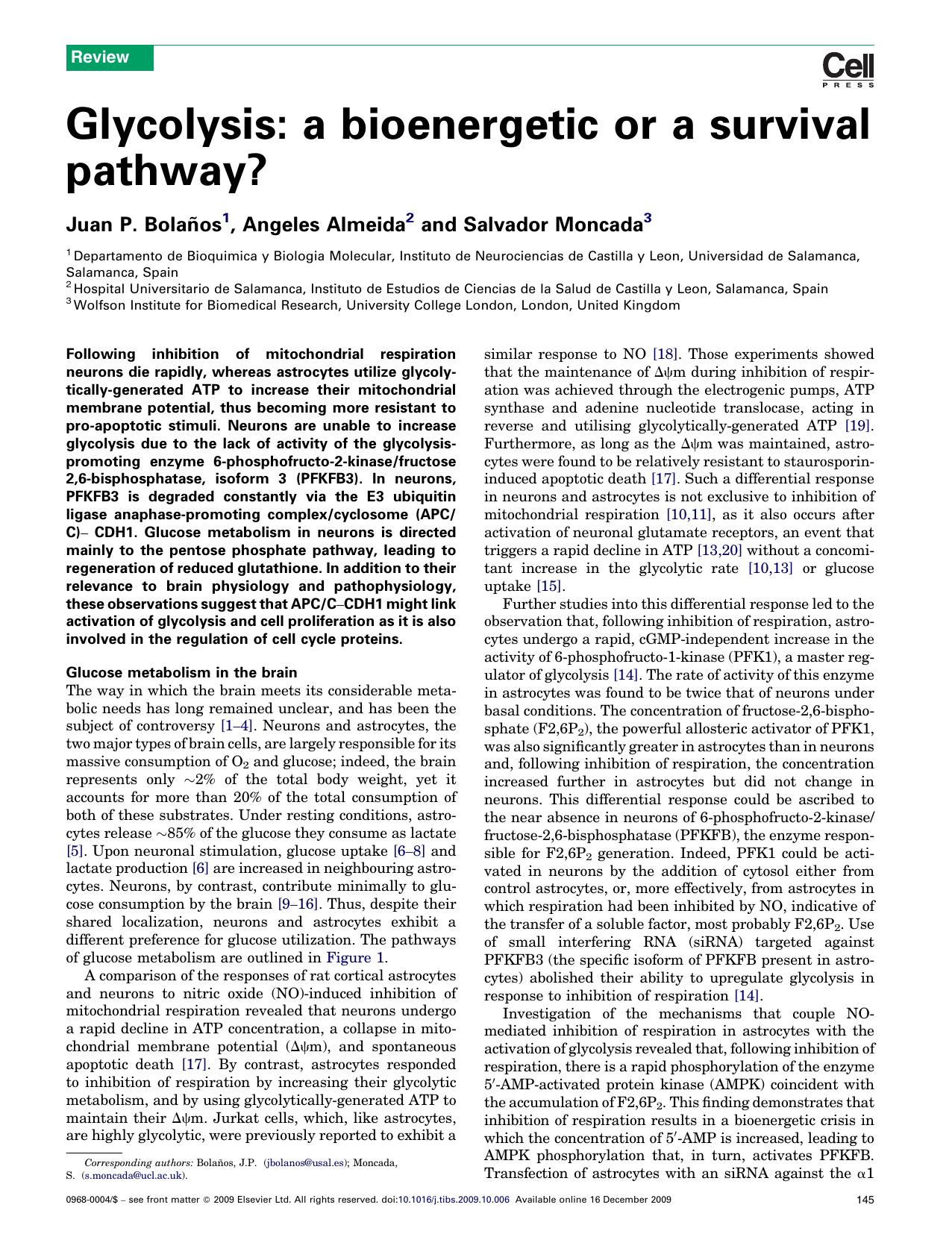 Glycolysis: a bioenergetic or a survival pathway? by Juan P. BolaÃ±os; Angeles Almeida; Salvador Moncada