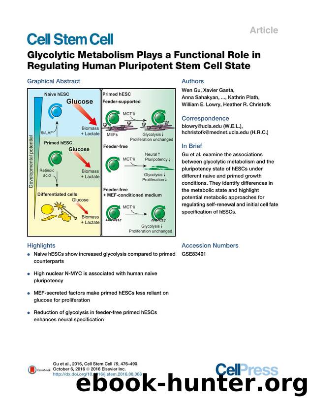 Glycolytic Metabolism Plays a Functional Role in Regulating Human Pluripotent Stem Cell State by unknow