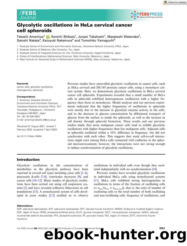 Glycolytic oscillations in HeLa cervical cancer cell spheroids by Unknown