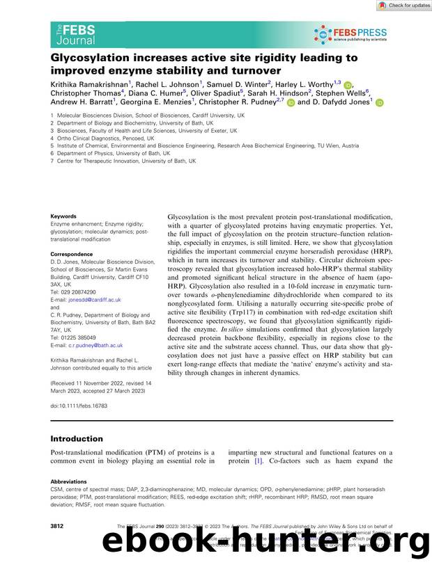 Glycosylation increases active site rigidity leading to improved enzyme stability and turnover by Unknown