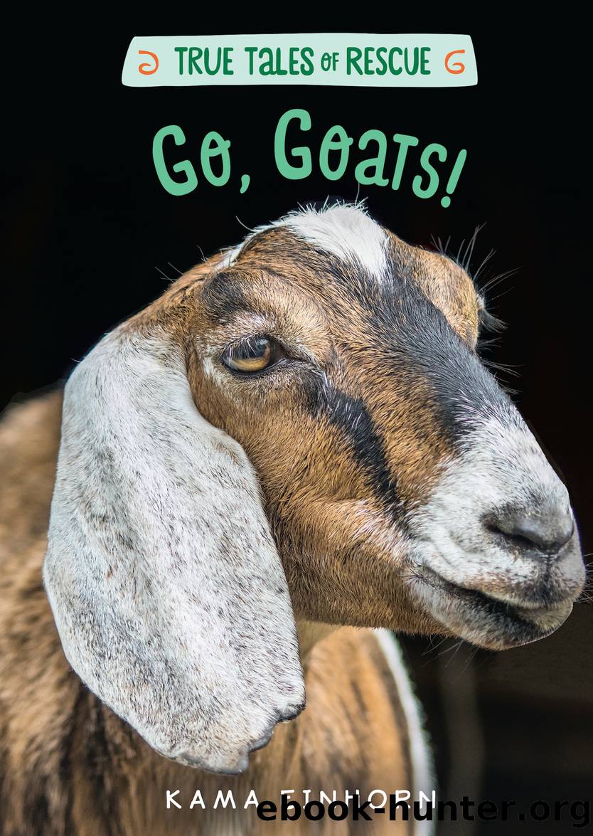 Go, Goats! by Kama Einhorn