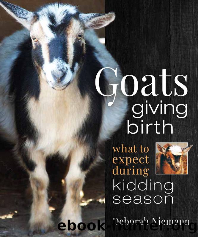 Goats Giving Birth by Deborah Niemann