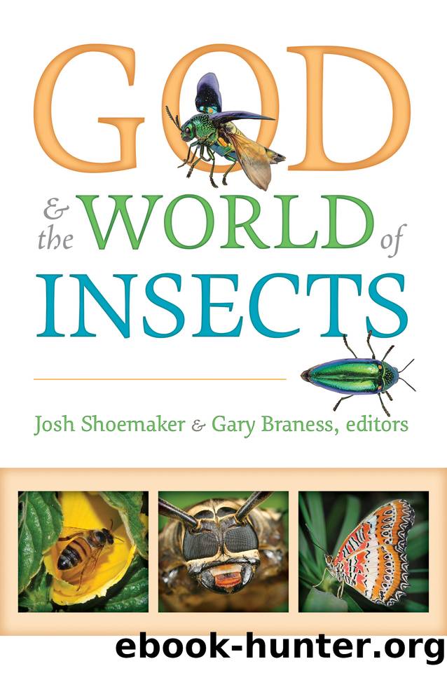 God & the World of Insects by Braness Gary & Shoemaker Josh