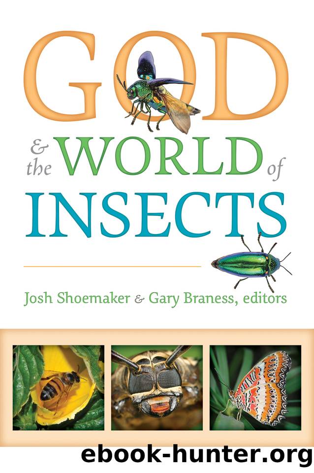 God & the World of Insects by Gary Braness & Josh Shoemaker