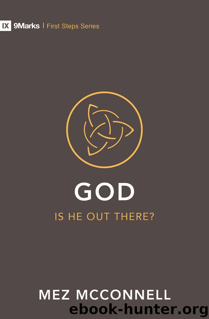 God – Is He Out there? (First Steps Book 1) by Mez McConnell