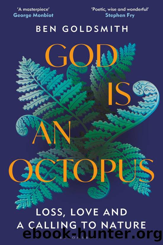 God Is an Octopus by Ben Goldsmith