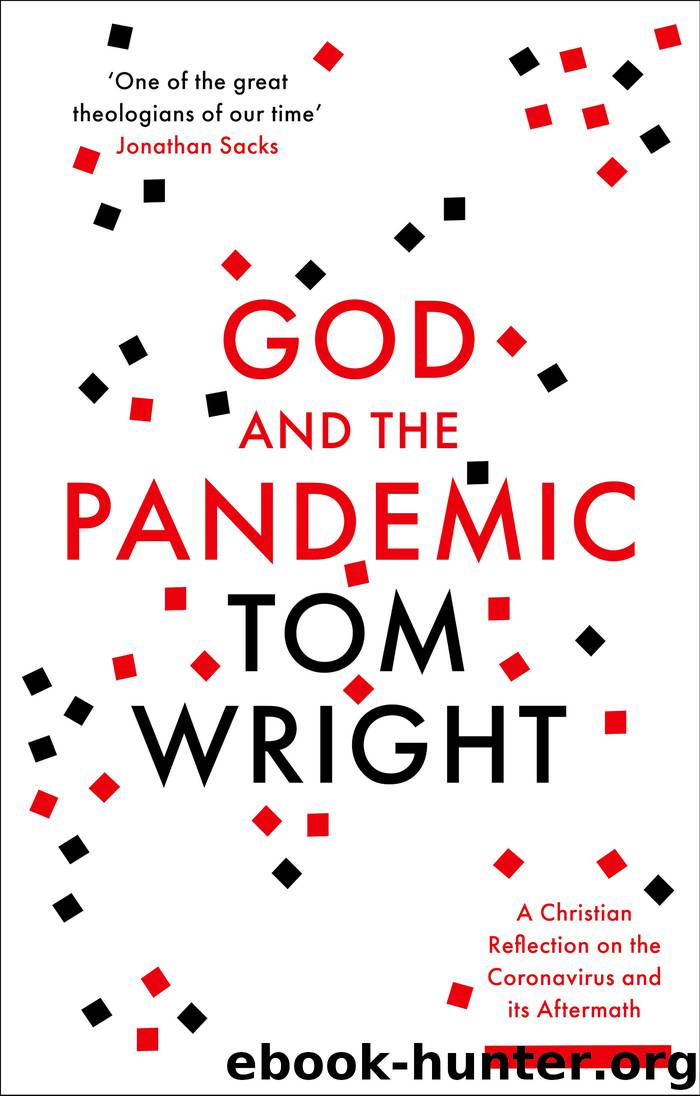 God and the Pandemic by Tom Wright