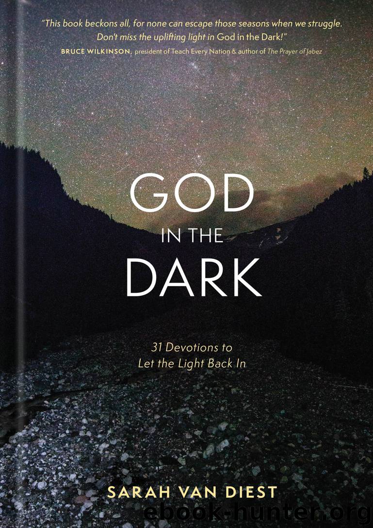 God in the Dark by Sarah Van Diest