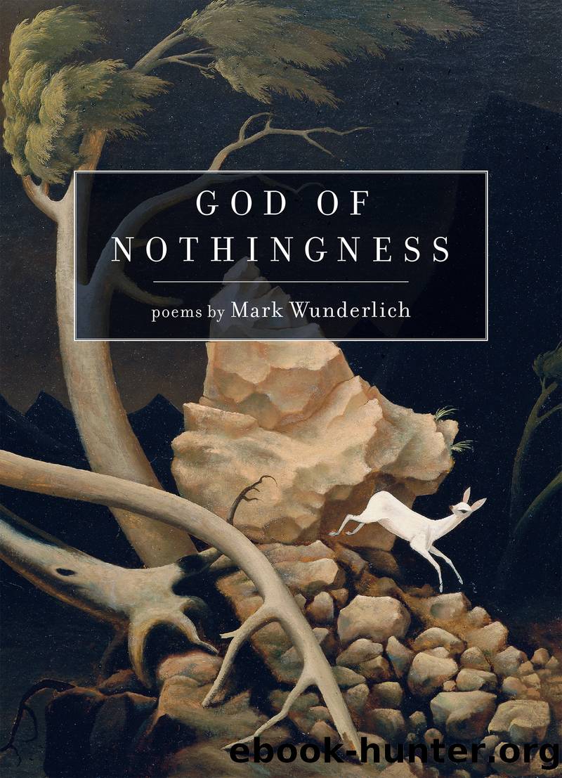 God of Nothingness : Poems (9781644451380) by Wunderlich Mark