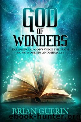God of Wonders by Brian Guerin