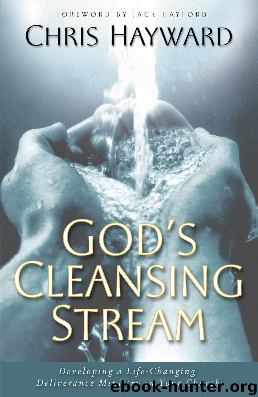 God's Cleansing Stream by Chris Hayward