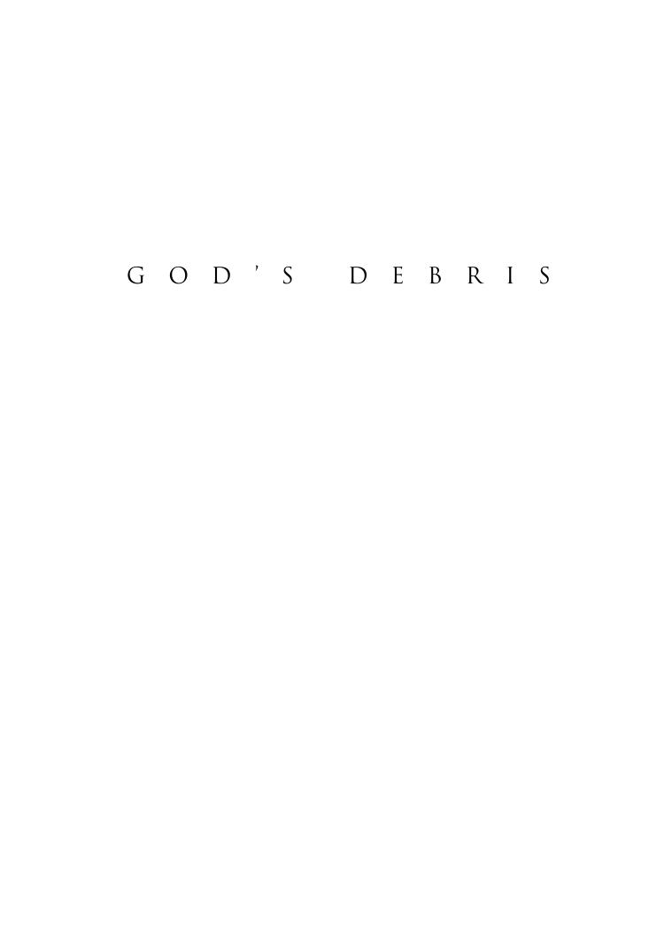 God's Debris : A Thought Experiment by Scott Adams