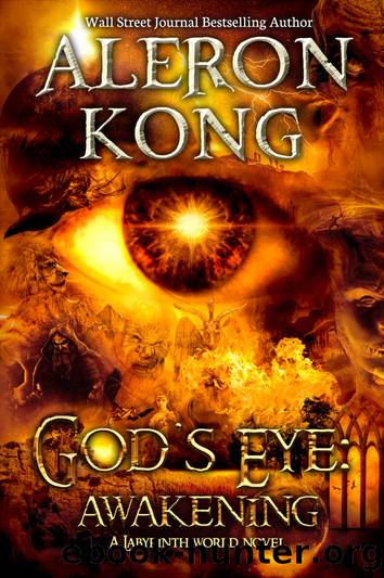 God's Eye: Awakening: A Labyrinth World Novel by Aleron Kong