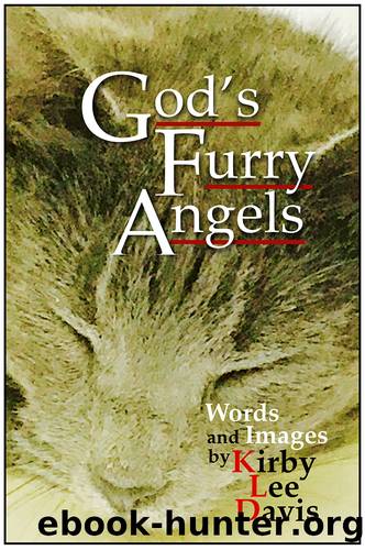 God's Furry Angels by Kirby Lee Davis