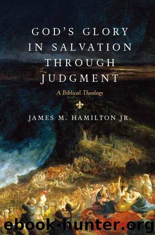 God's Glory in Salvation through Judgment: A Biblical Theology by Hamilton Jr. James M