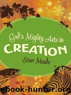 God's Mighty Acts in Creation by Starr Meade
