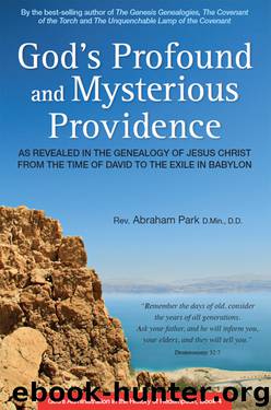 God's Profound and Mysterious Providence: As Revealed in the Genealogy of Jesus Christ From the Time of David to the Exile in Babylon by Abraham Park