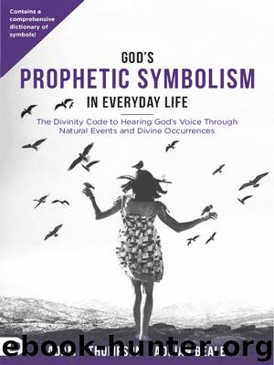 God's Prophetic Symbolism in Everyday Life by Adam Thompson & Adrian Beale