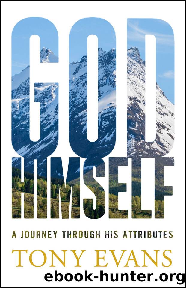 God, Himself by Evans Tony