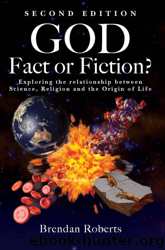 God: Fact or Fiction?: Exploring the Relationship Between Science Religion and the Origin of Life by Brendan Roberts
