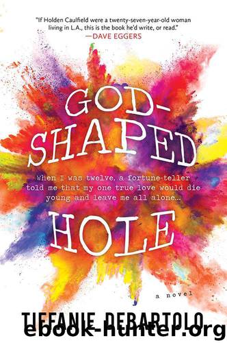 God-Shaped Hole: A Novel by Tiffanie DeBartolo
