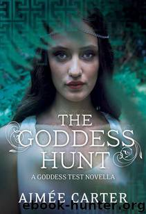 Goddess Hunt by Aimee Carter