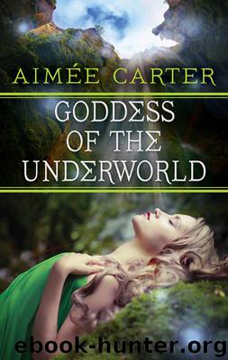 Goddess of the Underworld by Aimée Carter