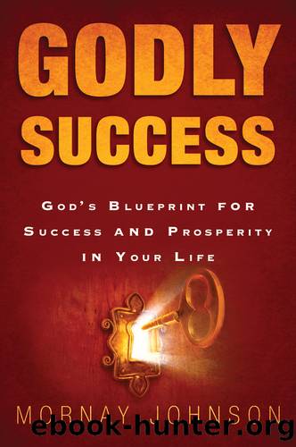 Godly Success by Mornay Johnson