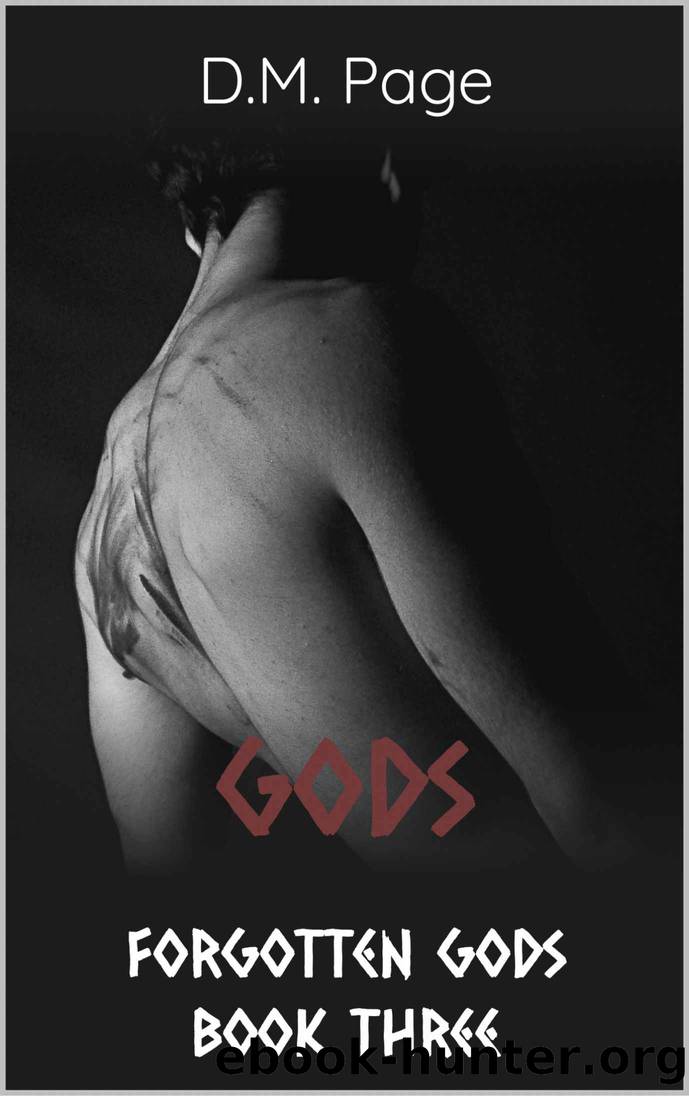 Gods (Forgotten Gods Reverse Harem Book Three) (Forgotten Gods Reverse Harem Romance 3) by D.M. Page