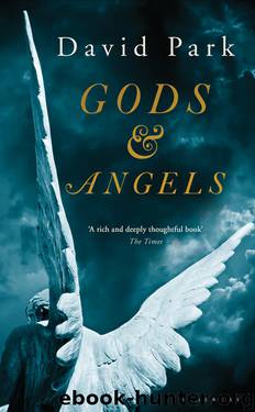 Gods and Angels by David Park