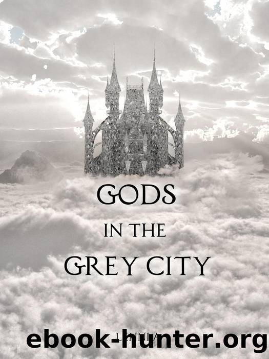 Gods in the Grey City by Lenni A