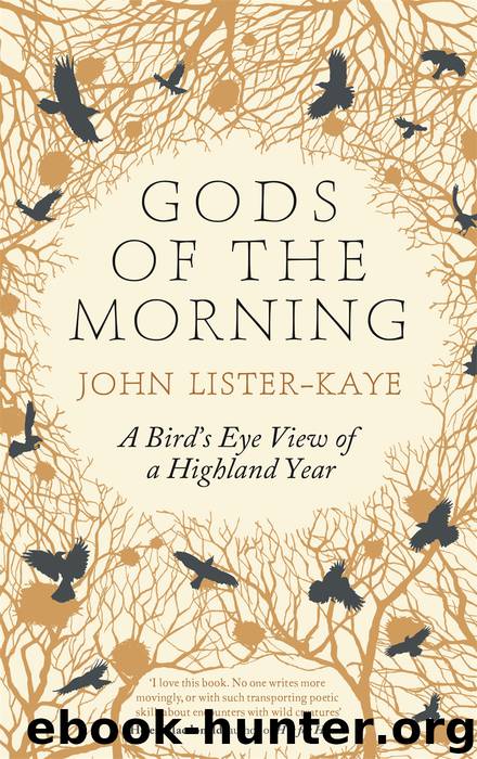 Gods of the Morning by John Lister-Kaye
