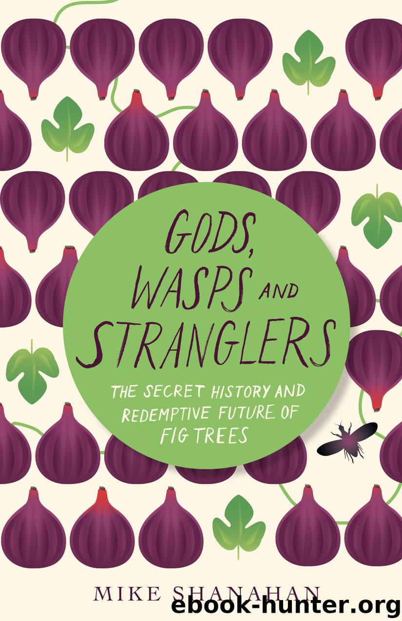 Gods, Wasps and Stranglers by Mike Shanahan