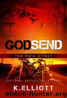 Godsend 7: The Halo Effect by Elliott K