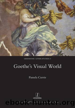 Goethe's Visual World by Currie Pamela;