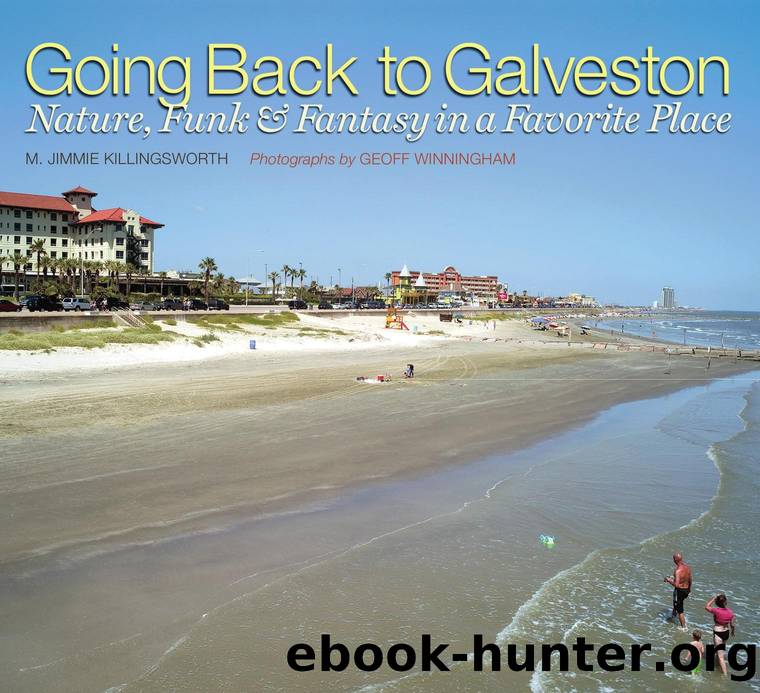 Going Back to Galveston: Nature, Funk, and Fantasy in a Favorite Place by M. Jimmie Killingsworth; Geoff Winningham